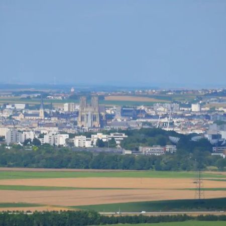 Agreable Maison Petit Jardin A 7 Minutes De Reims Pargny-les-Reims Eksteriør billede